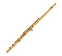 Flute kit Flute Instrument 17 Hole Open Gold-plated C Key E Key Curved Professional Performance Level