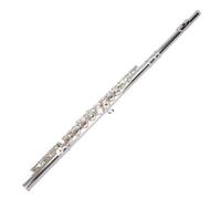 Flute kit Flute Musical Instrument For Beginners Grade 16 Hole Closed Hole Flute Silver Plated(Up Flute)
