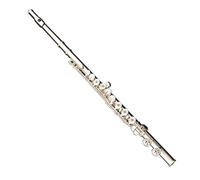 Flute Musical Instrument Flute 16 Open And Closed Holes Dual Use French Silver Plated