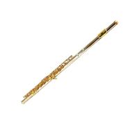 Flute Professional Flute Silver Plated Closed Hole In The Key Of C