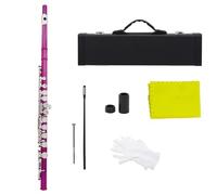 Flutes Instrument 16 Hole C Key Closed Open Holes Flute For Student Playing Flute Instruments (Color : Rose pink)