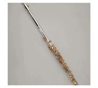 Flutes Instrument Cupronickel Gold Silver Plated C Tone Flute Silver Body Gold Key 16 Hole Closed Open Plus E Key Flute Instrument