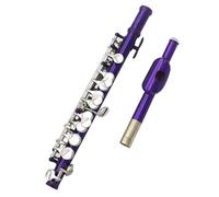 Flutes Instrument Purple Piccolo 16 Holes Add E Key Half-size Cupronickel Flute With Leather Case