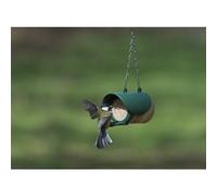 Flutter Butter Feeder For Pods Or Jars (Pack Of 6)