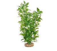 Fluval Aqualife White Tipped Ludwigia Plant, Plastic Aquarium Plant Decoration 14 in
