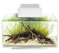 Fluval Edge Led 2.0 23l Aquarium Kit Clear