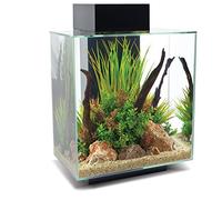 Fluval Edge 2.0 46L Aquarium Gloss Black