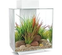 Fluval Edge Led 2.0 46l Aquarium Kit Clear