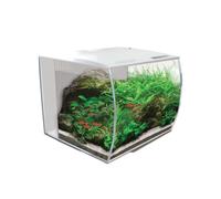 Fluval Flex LED Aquarium Nano Fish Tank 34L Black/White (34 Litre)