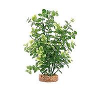 Fluval Plant Bacopa Green, 20 cm 200 g