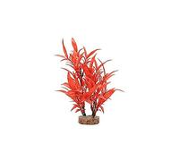Fluval Plant Hygrophila Red, Aquarium Decoration 20 cm