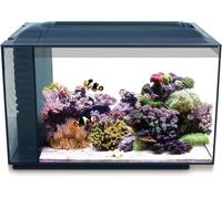 Fluval Sea Evo XII Glass Aquarium Kit