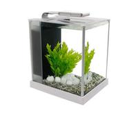Fluval Spec 10l Aquarium Clear