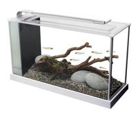 (19l) Fluval Spec Aquarium - Gloss White