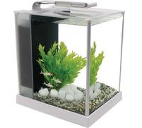 Fluval Spec Aquarium 10L or 19L Gloss Black or White LED Light Fish Tank HAGEN
