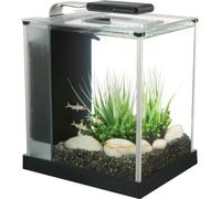 Fluval Spec 10l Aquarium Clear
