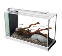 Fluval Spec Aquarium 19L Gloss White Led Light Hagen Fish Tank