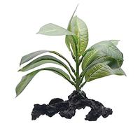 Fluval Stemped Anubias Plant for Aquarium, 7-Inch