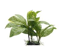 Fluval Yellow Stripe Spathiphyllum Plant for Aquarium, 9-Inch