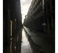 Fluxion - Perspectives