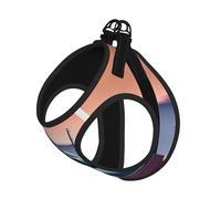 Fly Airplane Print Pet Leash Vest Soft Adjustable Step in Puppy Vest Outdoor Walking with Leash