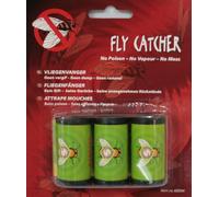FLY CATCHER