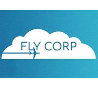 Fly Corp (PC) Steam Key - GLOBAL