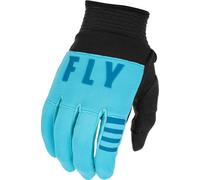 Fly F-16 Adult Gloves (Aqua/Dark Teal/Black) Size Small