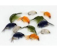Fly Fishing Flies SCUD shrimp selection, Twelve fly pack Sizes 8-12 Pack #98