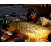 Fly fishing Patagonia part 2