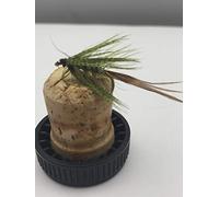 Fly Fishing PRIME collection "OLIVE DROWNED MAYFLY" DRY pack of (8) EIGHT FLIES size 10 hook