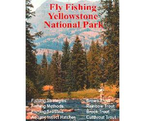 Fly Fishing Yellowstone National Park