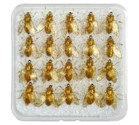 Fly Lures | 20 Pieces Artificial Bee Attractant - Realistic Equipment with Case for Freshwater Sea River and Lake
