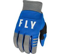 Fly Racing F-16 2023 Motocross Gloves, grey-blue, size M for Men