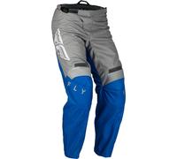 Fly Racing F-16 2023 Motocross Pants, grey-blue, size 36 for Men