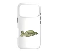 Fly River Turtle Case for iPhone 17 Pro