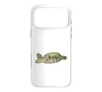 Fly River Turtle Case for iPhone 17 Pro Max