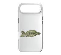 Fly River Turtle Case for iPhone Air