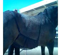 Fly Sheet Belly Guard - Breathable Mesh Horse Belly Guard | Net Scratch Guards | Anti-scratch Horse Sheet Rugs, Elastic Horses Abdomen Blankets Protective Net For Adult Abdomen