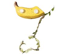 Fly Trimmers Breeding Case Accessory - Magnetic Fruit Design Box - Fly Spider Habitat Accessories, Halloween Glass, Pampass, Turtles, Dragons, Beer Dead Gekko