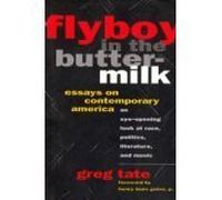 Flyboy in the Buttermilk: Essays on Contemporary America