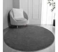 FlyDOIT Round Area Rugs for Bedroom Living Room, 5x5 Dark Grey Super Soft Comfy Thickened Memory-Foam Indoor Circle Carpet, Modern Aesthetic Minimalist Carpet for Boys Girls Adults Nursery Home Décor