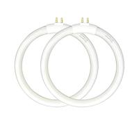 Flyercatch (2pack) 4.75’’ T4 Type 12W 6400K Circular Bulb Replacement for Magnifier Desk Light,Vanity Magnifying Makeup Mirror,Daylight 6500K Fluorescent Lamp