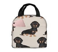 FLYIFE Dachshund Dog Insulated Lunch Bag Cooler Aluminum Foil Portable Lunch Tote Bag- Waterproof, Breathable, Lightweight, and Durable