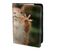 FLYIFE Squirrel Funny Animal Printed Passport Holder Cover 5.5 inches, Leather Passport Cover Case Travel Passport Wallet for Women Men