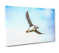 Flying Atlantic Puffin Bird Canvas Print for Living Room Bedroom Home Office Décor, Wall Art Picture Ready to Hang, 30 x 20 Inch (76 x 50 cm)