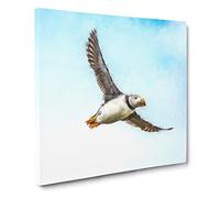 Flying Atlantic Puffin Bird Canvas Print | Gallery Wrapped 30mm Frame Wall Art | 14x14 inches | Ready to Hang | Modern Animals Picture | Living Room Bedroom Lounge Office