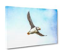 Flying Atlantic Puffin Bird Canvas Print | Gallery Wrapped 30mm Frame Wall Art | 20x14 inches | Ready to Hang | Modern Animals Picture | Living Room Bedroom Lounge Office