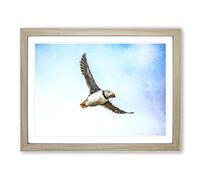 Flying Atlantic Puffin Bird Painting Modern Art Framed Print | A2 Oak Framed Wall Art | Ready to Hang | Modern Historical Picture | Living Room Bedroom Lounge Office