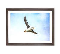 Flying Atlantic Puffin Bird Painting Modern Art Framed Print | A2 Walnut Framed Wall Art | Ready to Hang | Modern Historical Picture | Living Room Bedroom Lounge Office